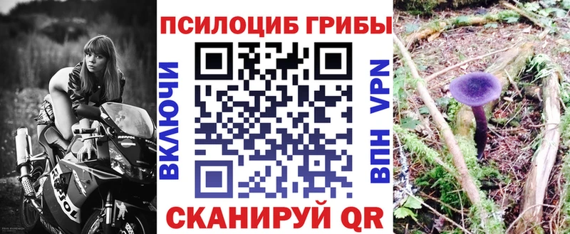 маркетплейс формула  купить наркотик  Обнинск  Галлюциногенные грибы мицелий 